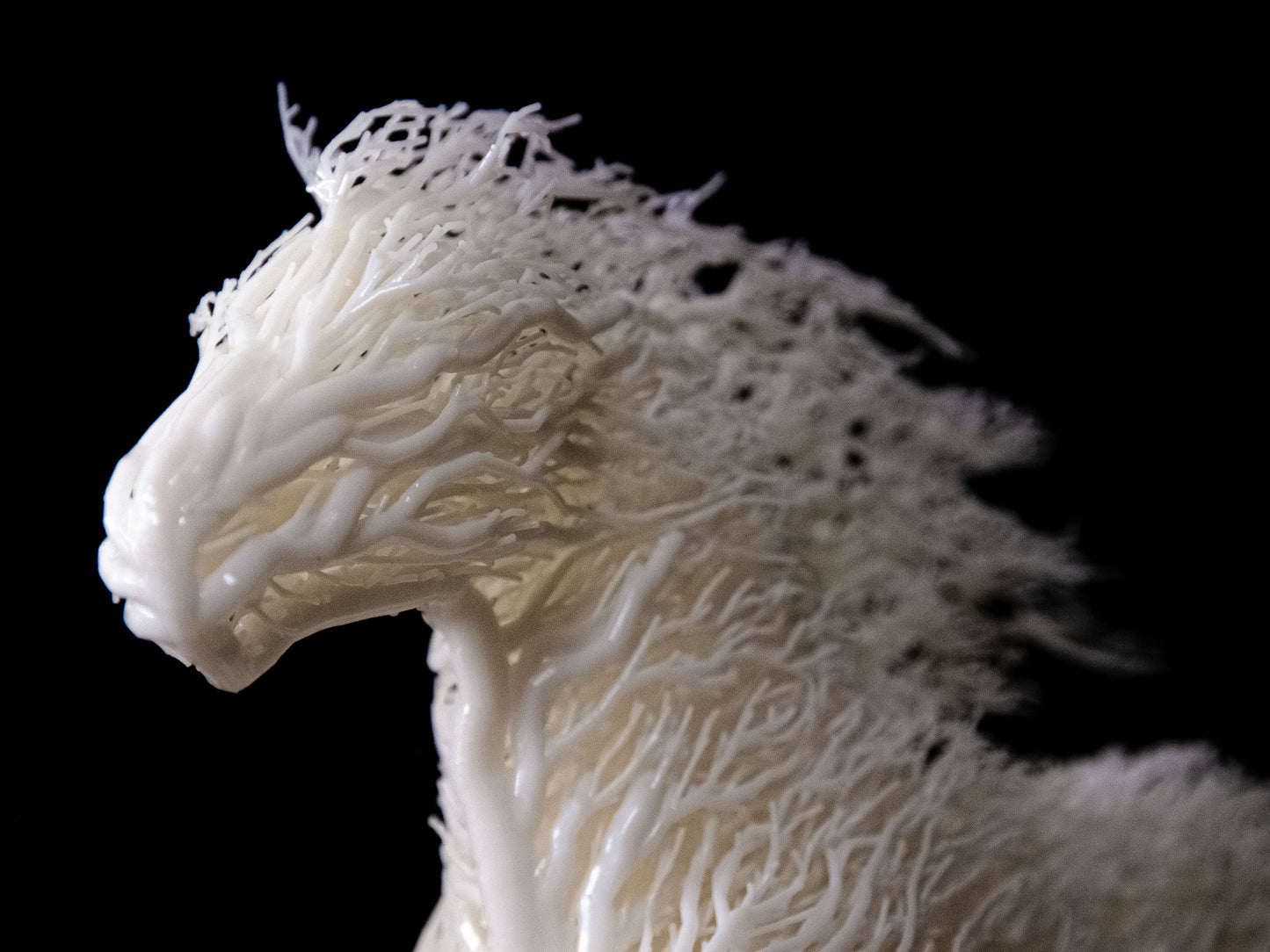 Weißes erwachsenes Pferd