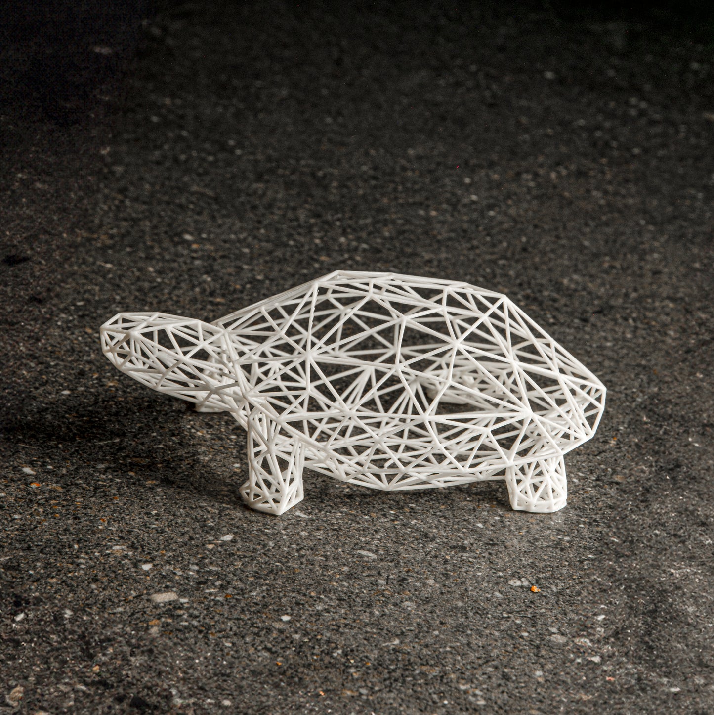 Schildkrötenskulptur im Drahtgitter