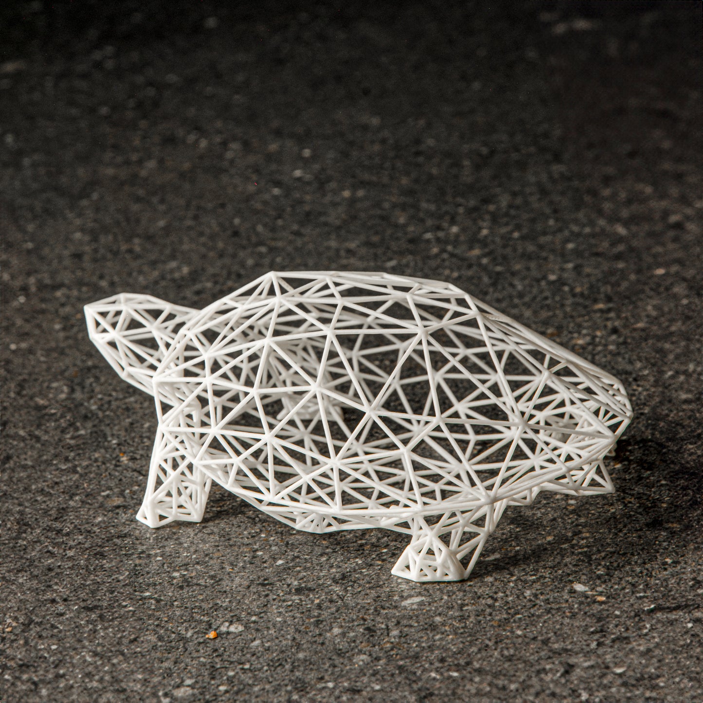 Schildkrötenskulptur im Drahtgitter