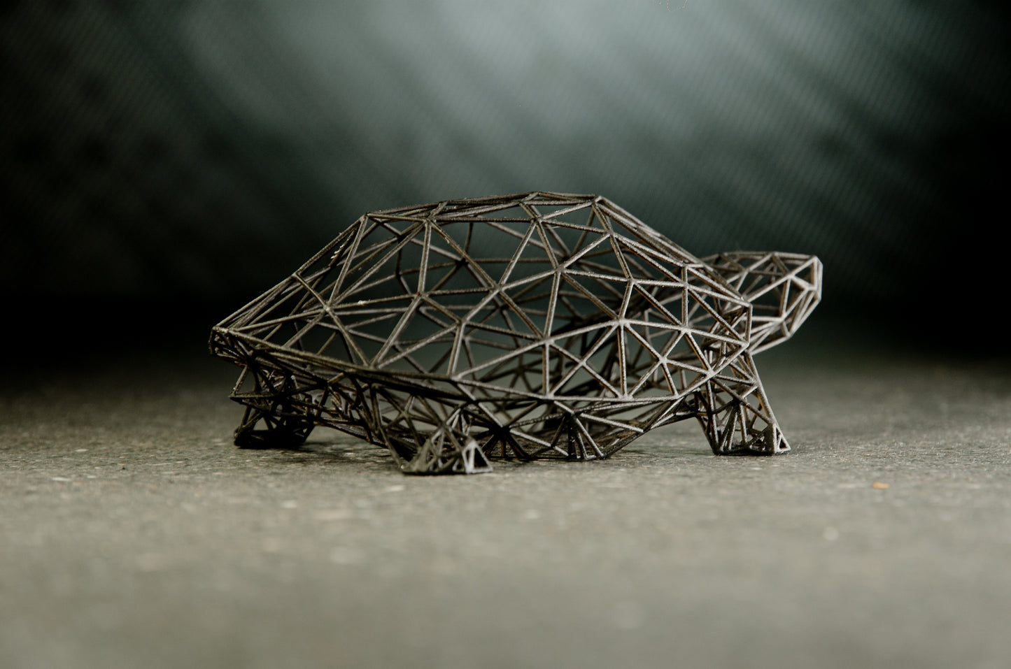 Schildkrötenskulptur im Drahtgitter