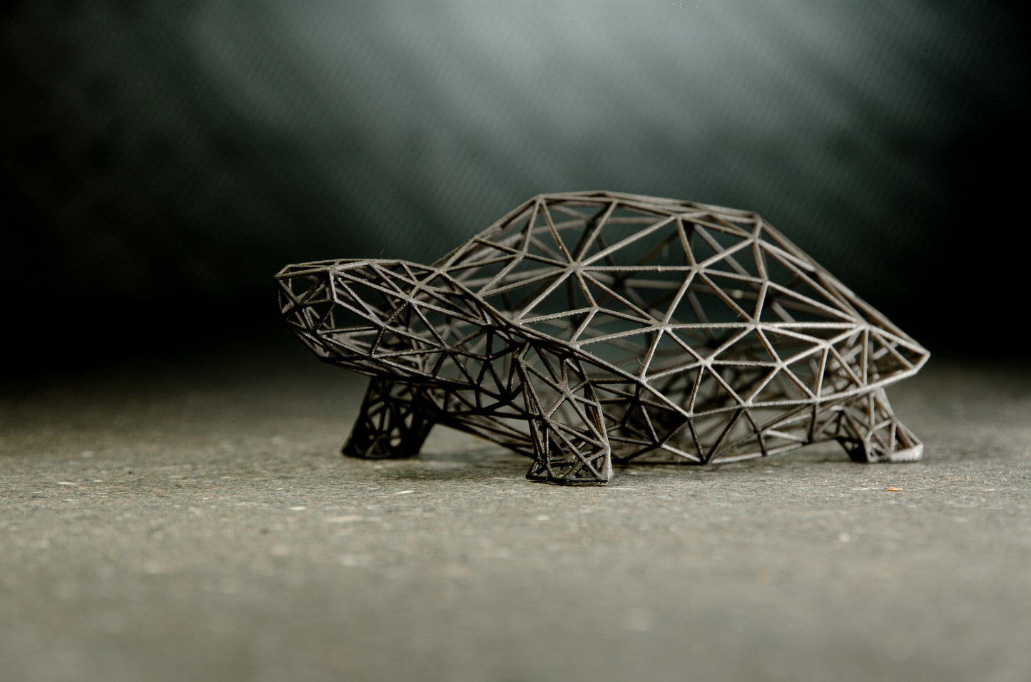 Schildkrötenskulptur im Drahtgitter