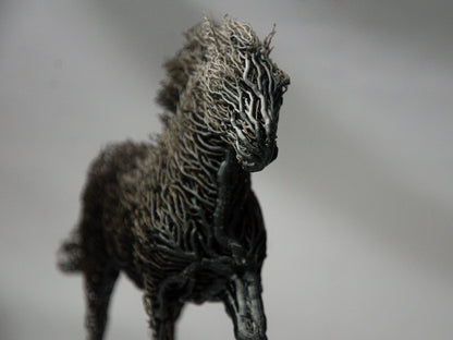 Black Grown Horse