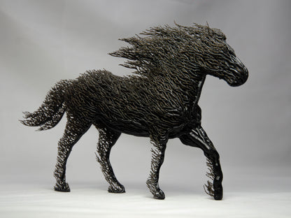 Black Grown Horse