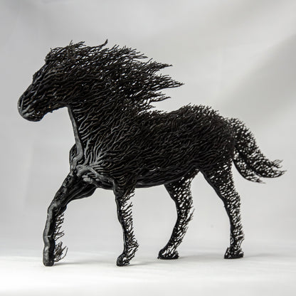 Black Grown Horse