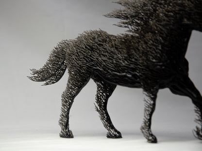 Black Grown Horse