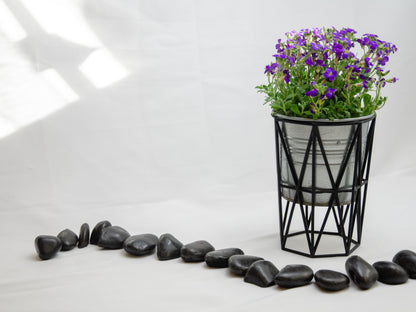 Upright Geometric Wire Vase Cage – Black Design for 10cm Pots & Wedding Table Decor