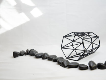 Upright Geometric Wire Vase Cage – Black Design for 10cm Pots & Wedding Table Decor