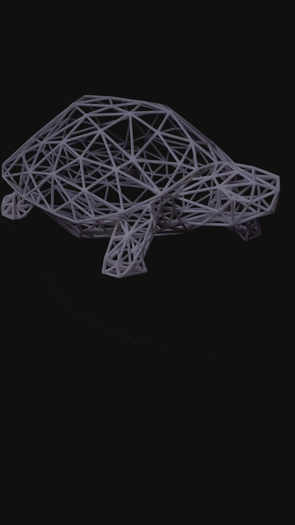 Wireframe Design Turtle Sculpture