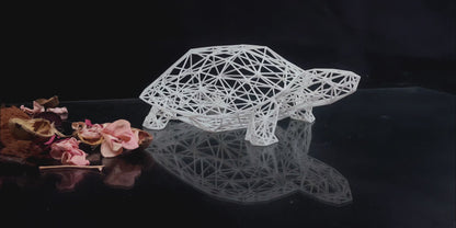 Wireframe Design Turtle Sculpture