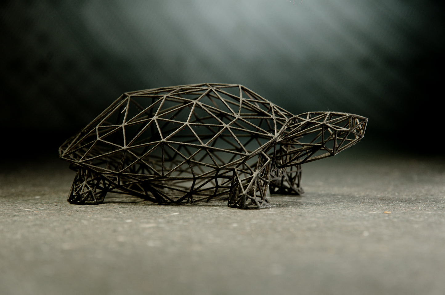 Schildkrötenskulptur im Drahtgitter